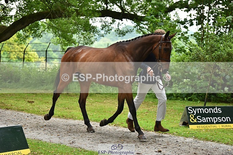 240522-165900-01302 - 272-PRIORSPARK_ROYAL_RIFF-RAFF-Jesse_Campbell