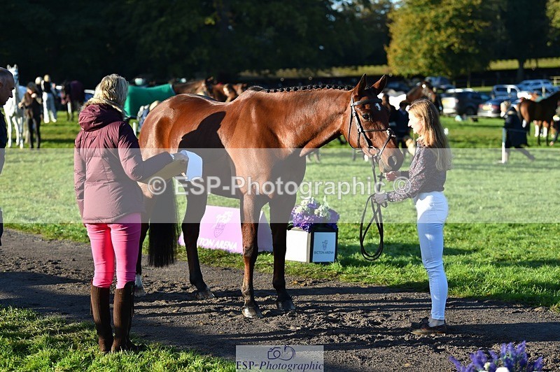 231022-091640-21665 - 620-PENOLVA.HIGH.HOPES-Elizabeth.Payne-TrotUp+SJ