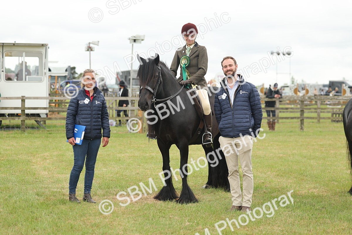 SBM_09049 - Class 78-80 - Ridden M&M Non Welsh Ponies