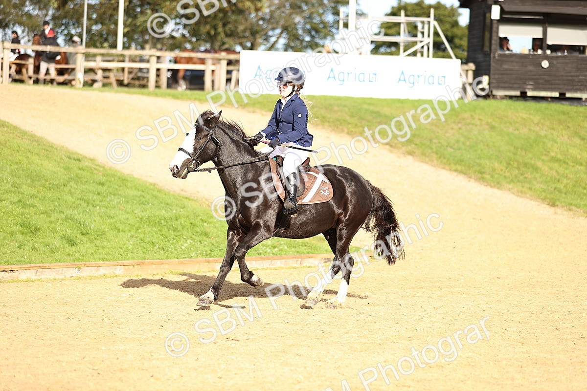 SBM_51594 - J10 - Junior Pony 75cm Championship