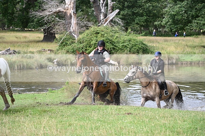 WJ7_1619 - Time at Water 10:48 to 11:13