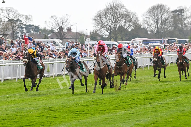 120425-Race 1-Polly Darling-0760 - Race 1