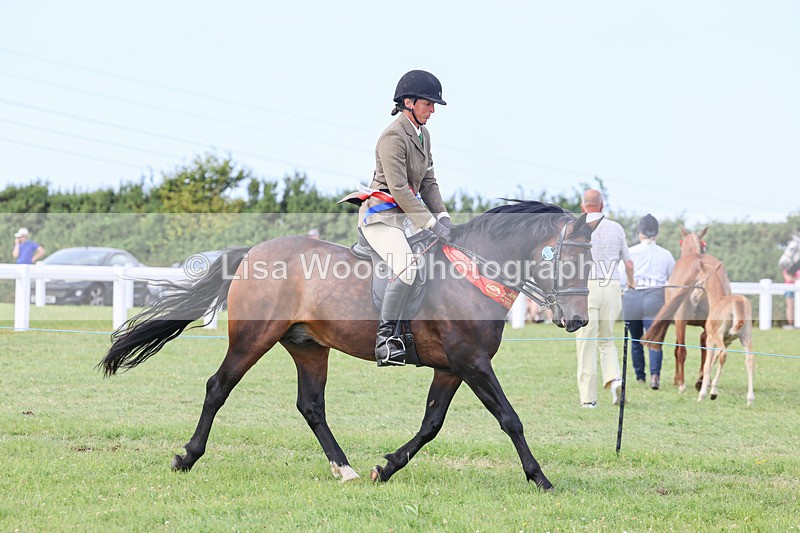 IMG_3762 - M & M Ridden Championship