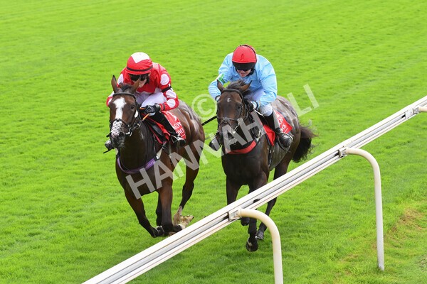 yr04092022p1-54 - 12.30pm 148cm Conditions Pony Race