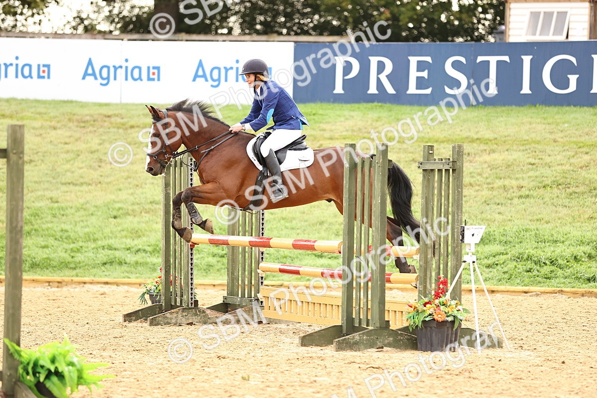 SBM_58234 - J41 - Grand Tour Horse & Pony 95cm