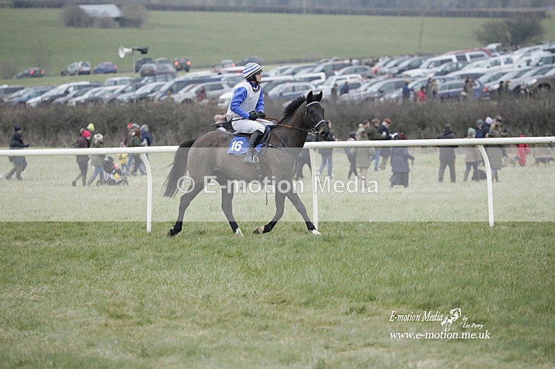 PtP 040323 745 - Duke of Beauforts Hunt Point-to-Point Didmarton 04/03/23