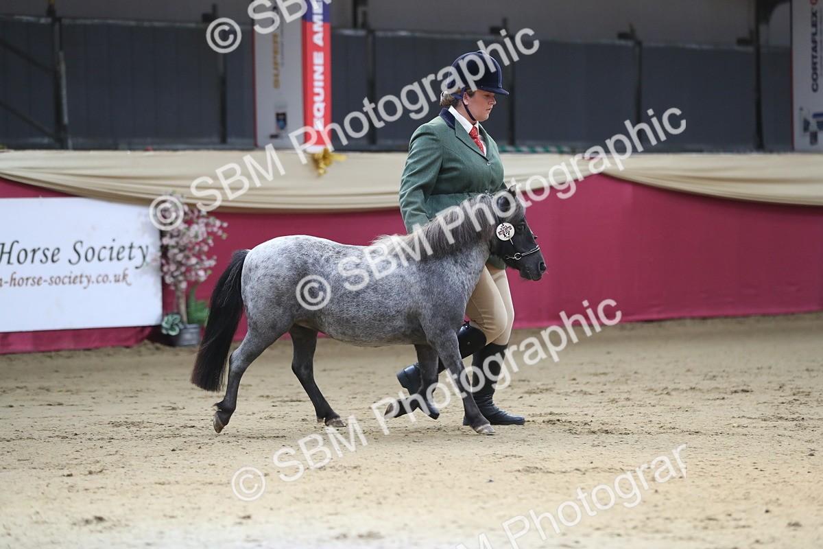 SBM_01302 - Class 3a Area IH Pre Vet