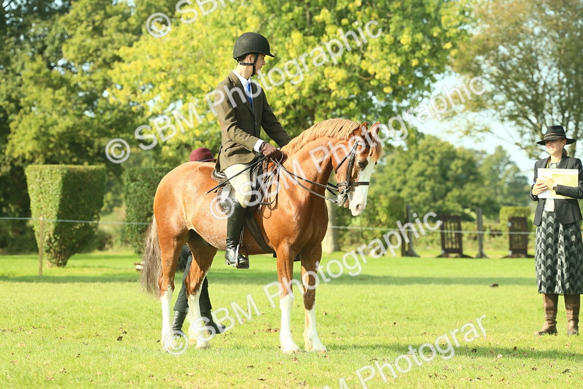 SBM_59926 - S38 - Starters Ridden Showing