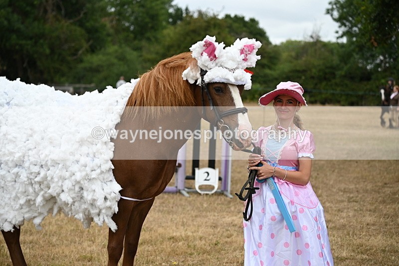 WJ6_8939 - Class 11 Fancy Dress