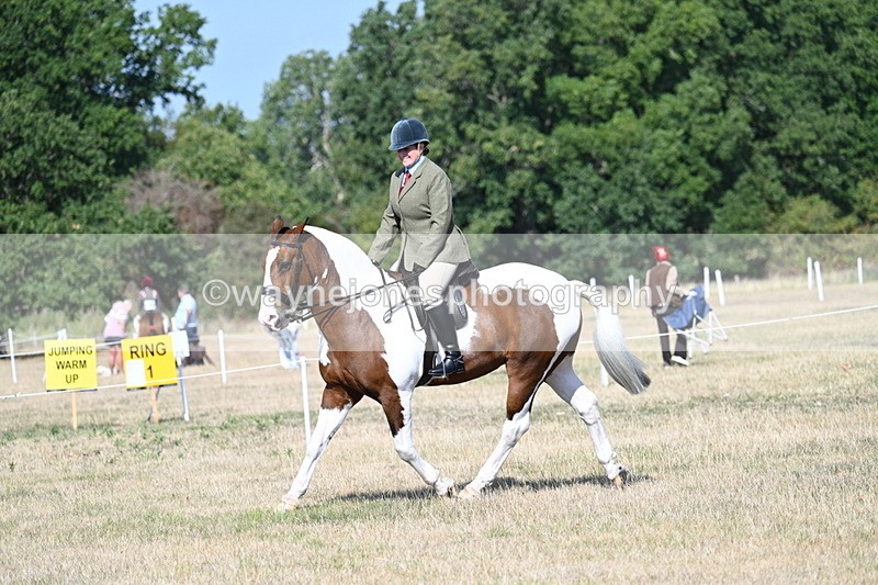 WJ7_2854 - Class 8 Ridden Tack & Turnout