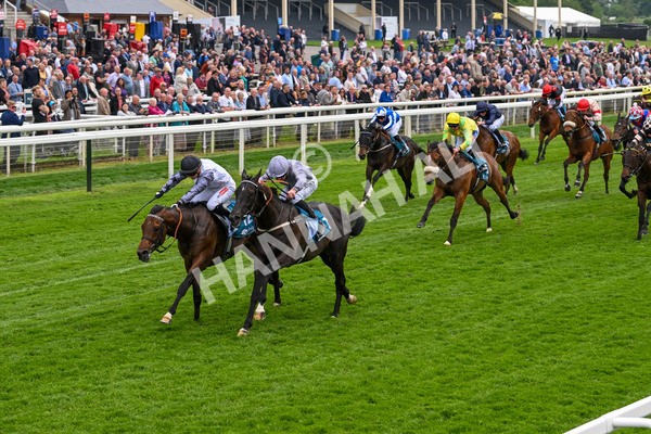 160524-Race 6-Andesite-6683 - Race 6 4.45pm Frank Whittle Partnership ebfstallions.com Novice Stakes