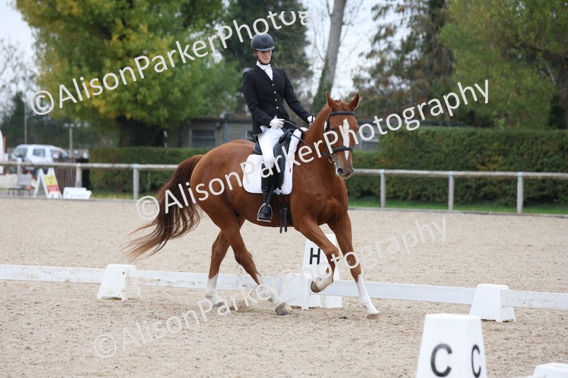 20251011-0575 - Class 4 - Novice 2