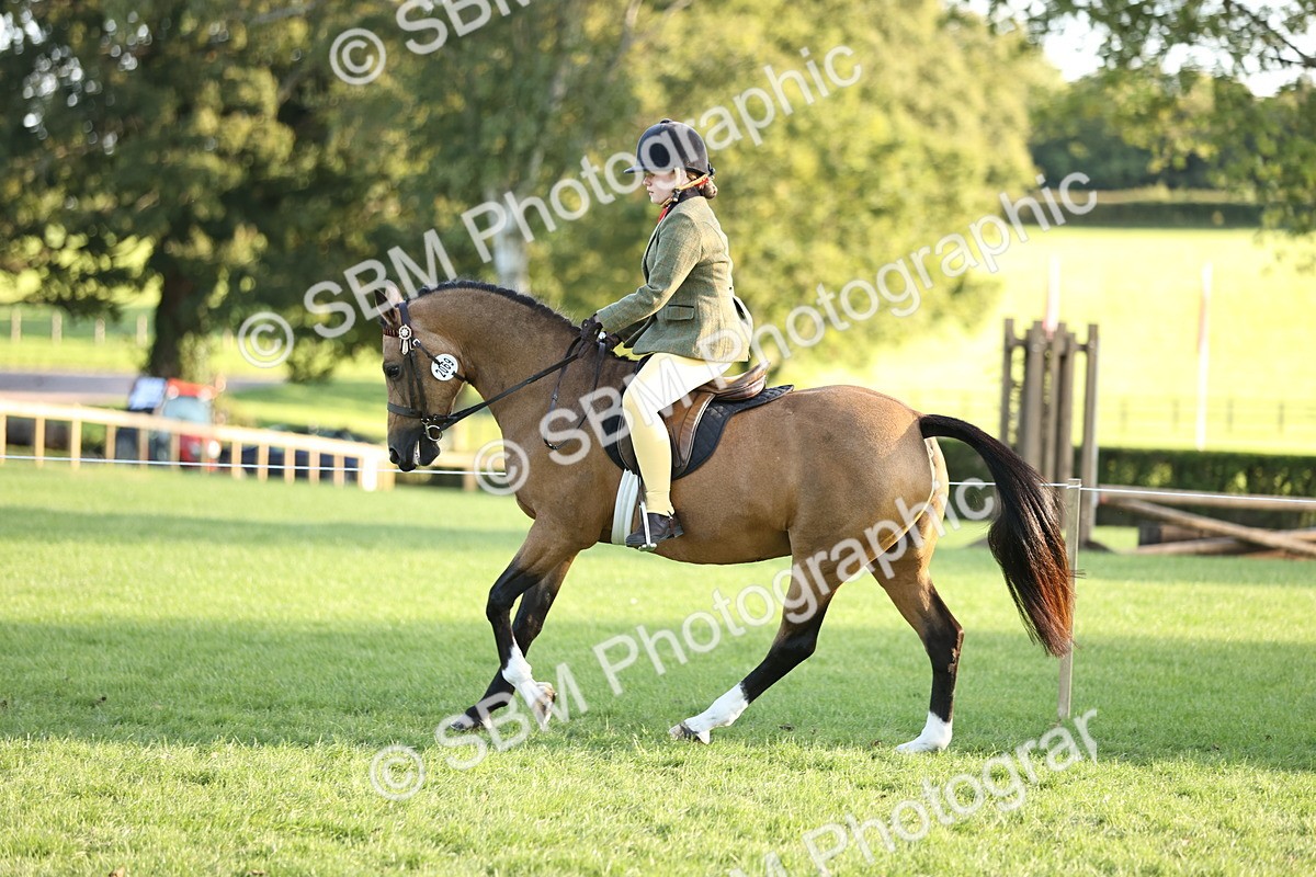 SBM_29587 - S7 - Novice & Newcomers Ridden Pony