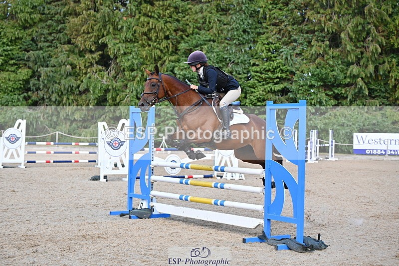 250802A-171453-08295 - H-353-Nancy.Wilson.Connell-BLUESTONE.BUTTERFLY