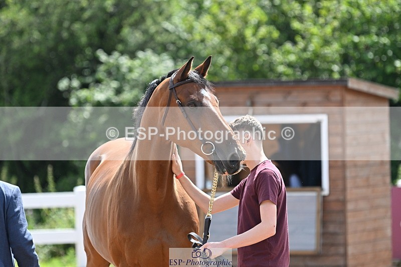 240717A-150236-02475 - Trot Up 3pm to 4pm