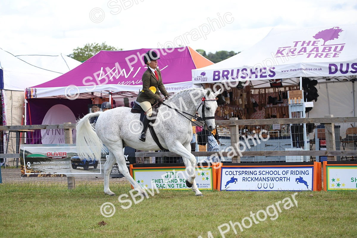 SBM_13290 - Class 95-96 - LIHS BSHA Rising Star Hack Riding Horse