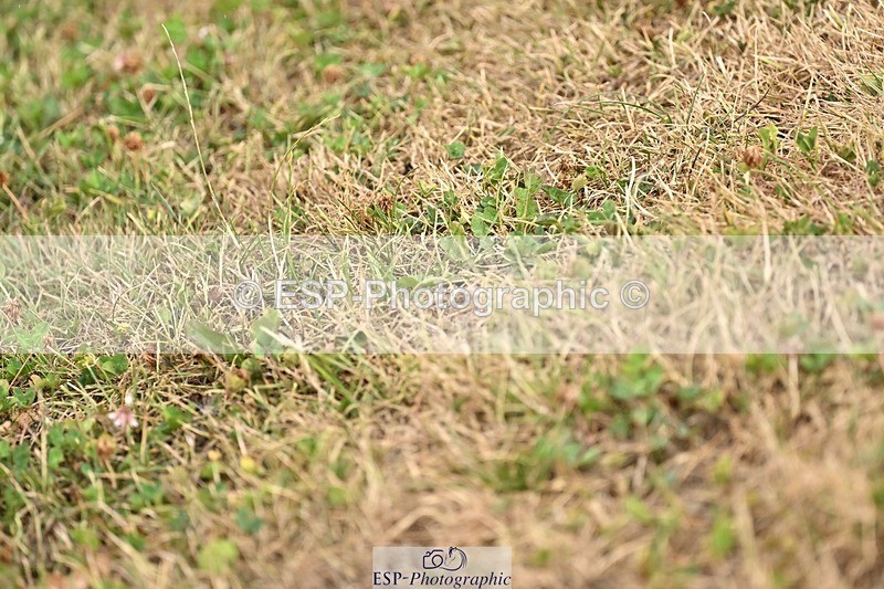 260730-120452-00583 - Cls 9 95cm Amateur