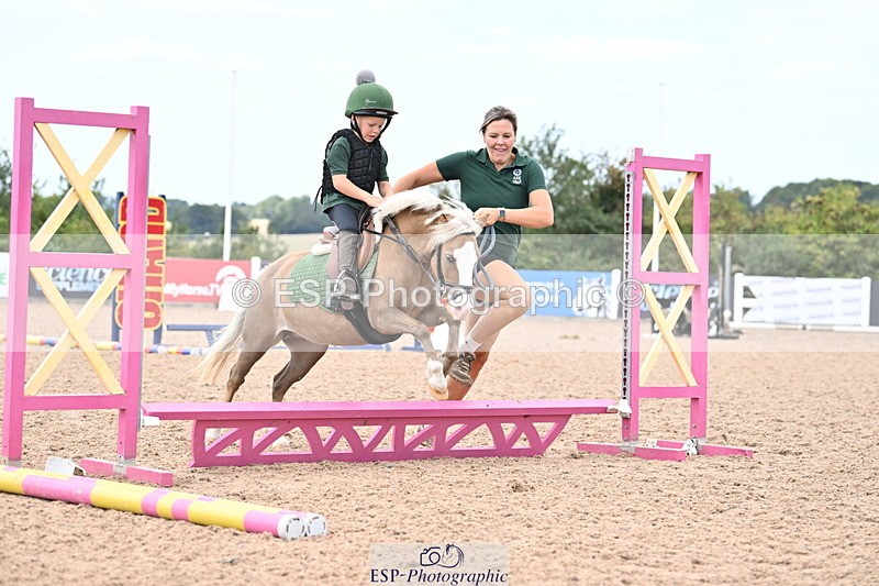 250821B-121039-00330 - Group D - Thomasina