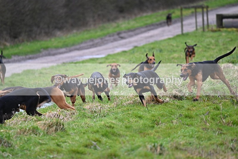 WJ6_8196 - Cam B