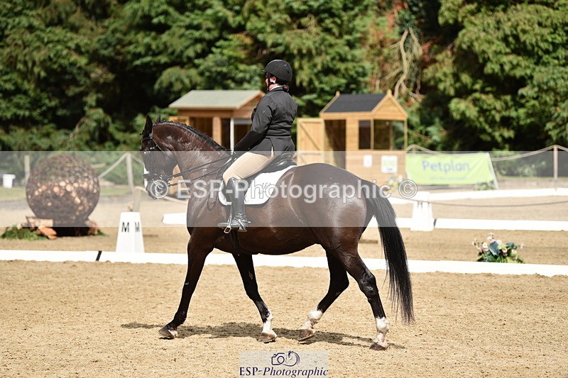 140110A-042918-12163 - 160-Rosey.Bradburn-High.Spirits.II