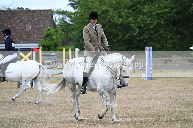 WJ7_0927 - Class 7 Riding Club Show Horse