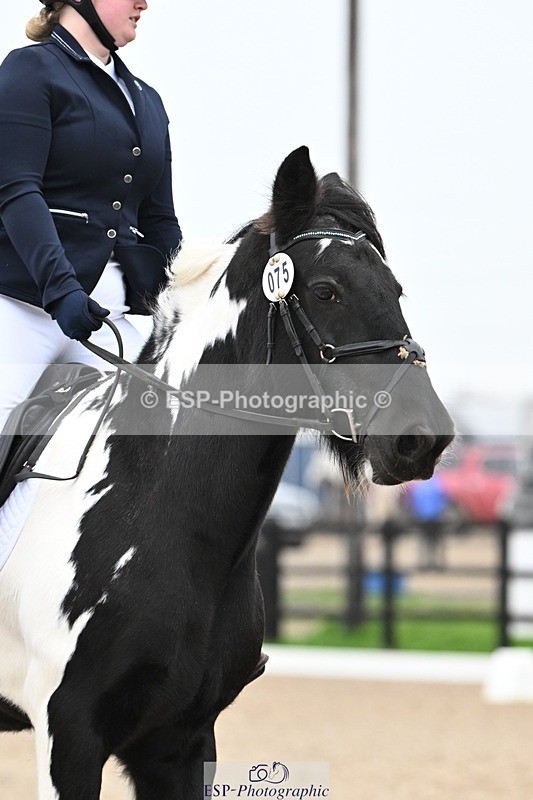 241103-112826-00517 - Intro 3 - 10.50 to 11.44