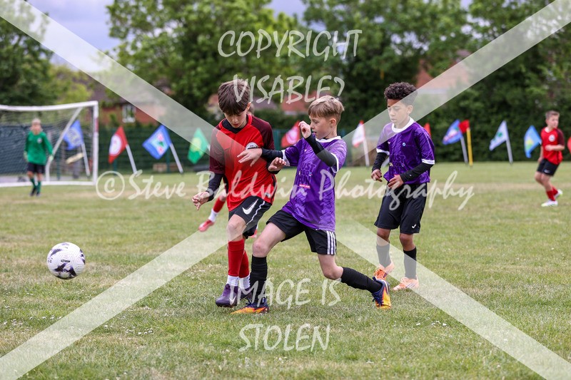1DX30804 - Brook Field V Goddard Park