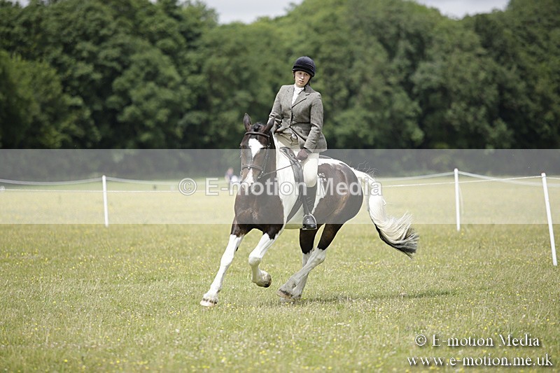 BVR160717-1902 - Ring 1 BVRC Show 16/07/17