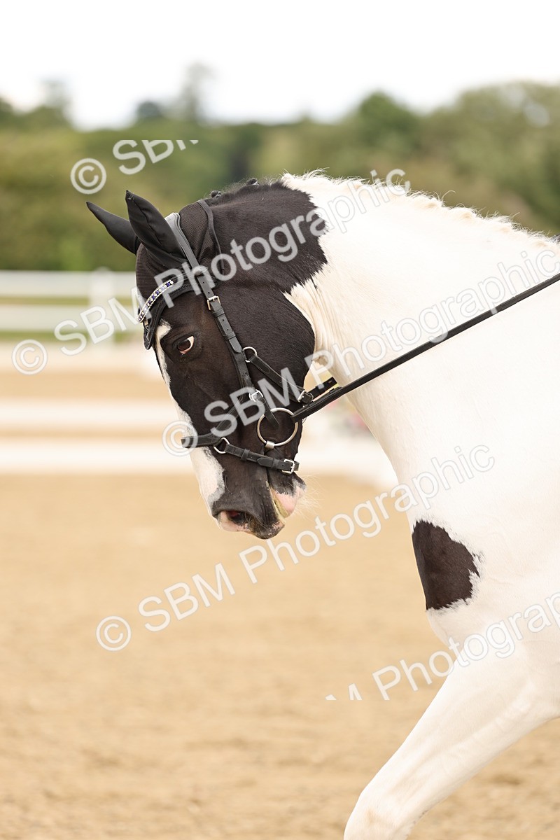 SBM_003395 - Class 6a - Novice 5 - 13.17-14.21