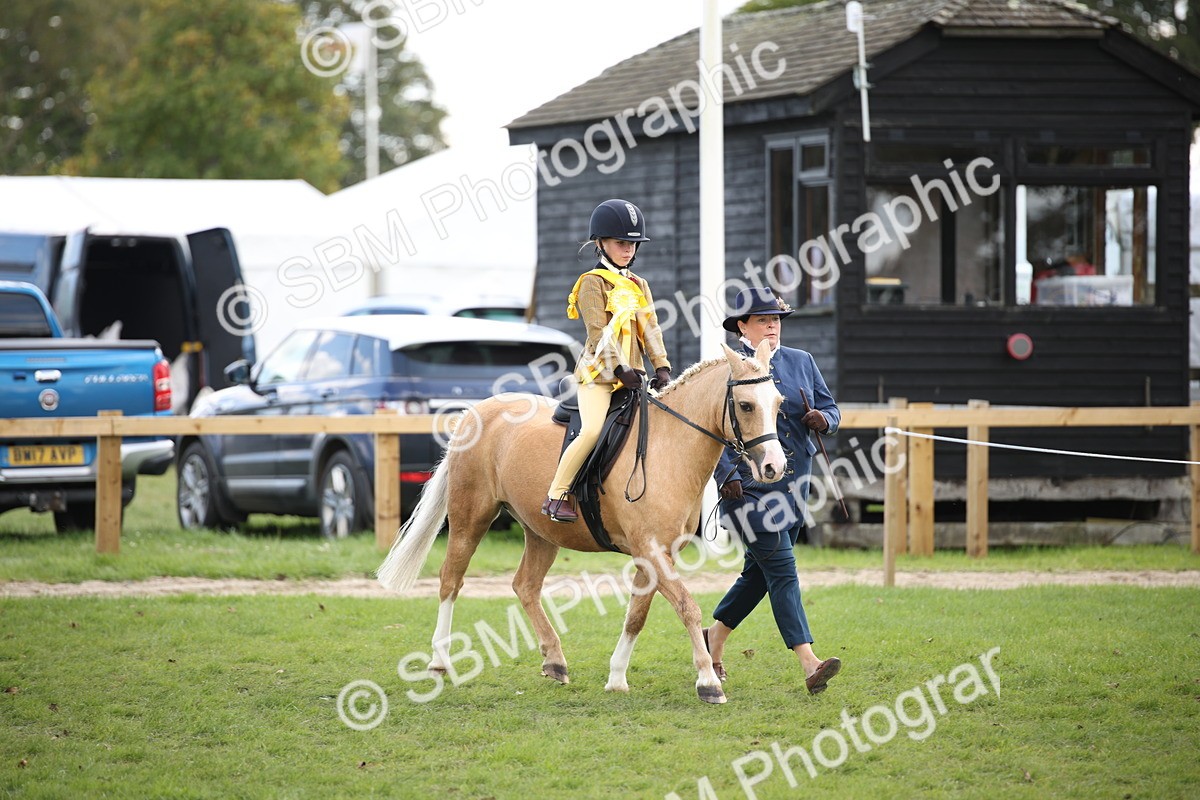SBM_40903 - Fun Showing Supreme Championship