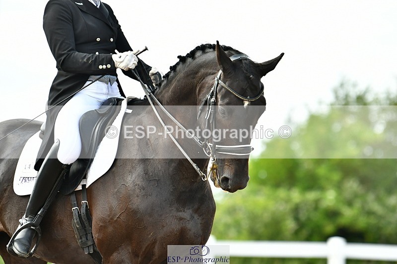 230702A-160047-11076 - Cls 37 + 42 FEI PSG + GP