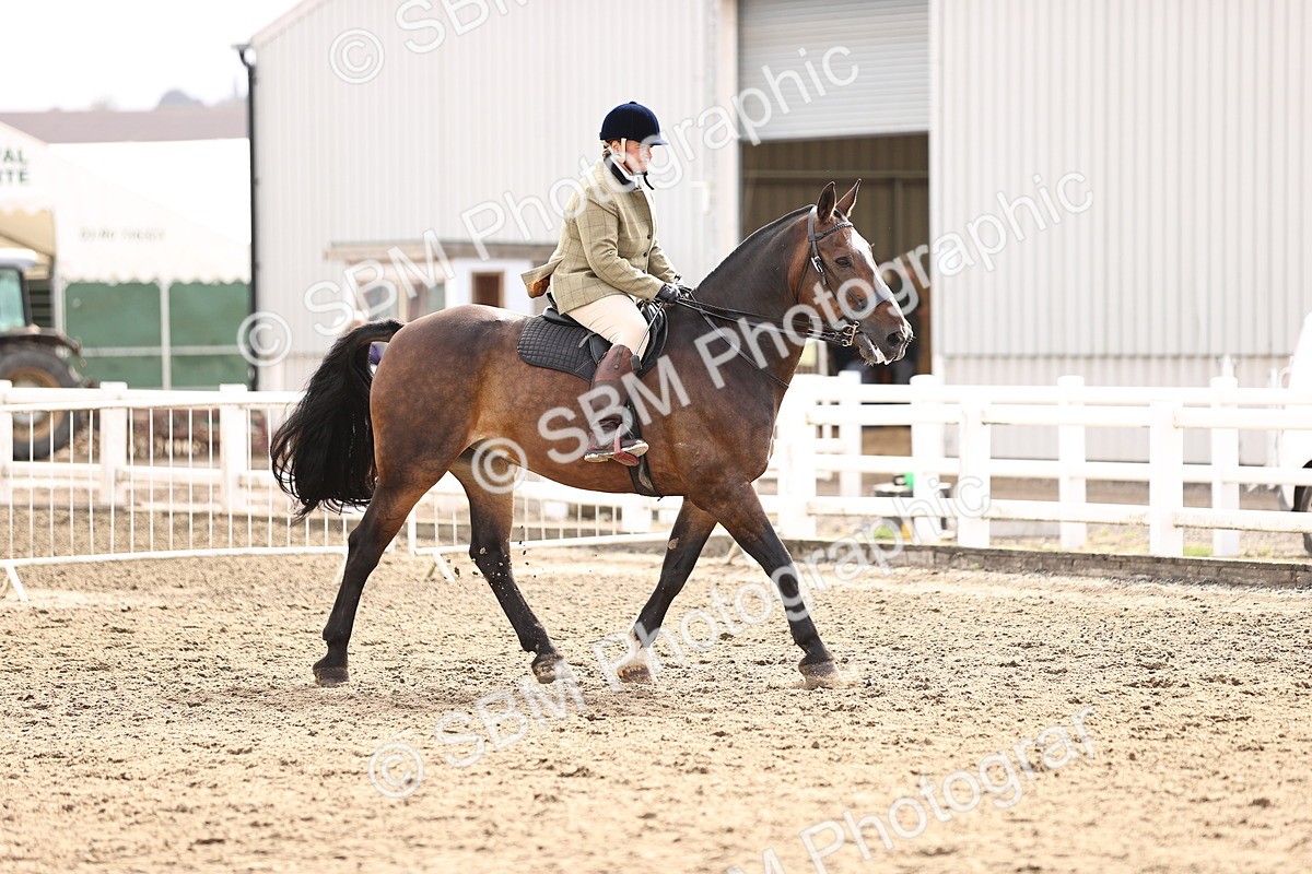 SBM_01709 - Class 55 - Clear Round