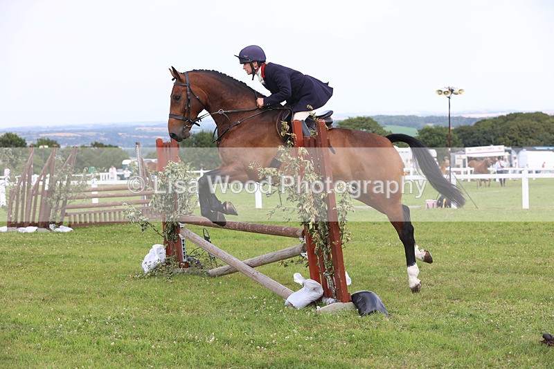 JPP_3826 - Class 23: Working Hunter 80cm