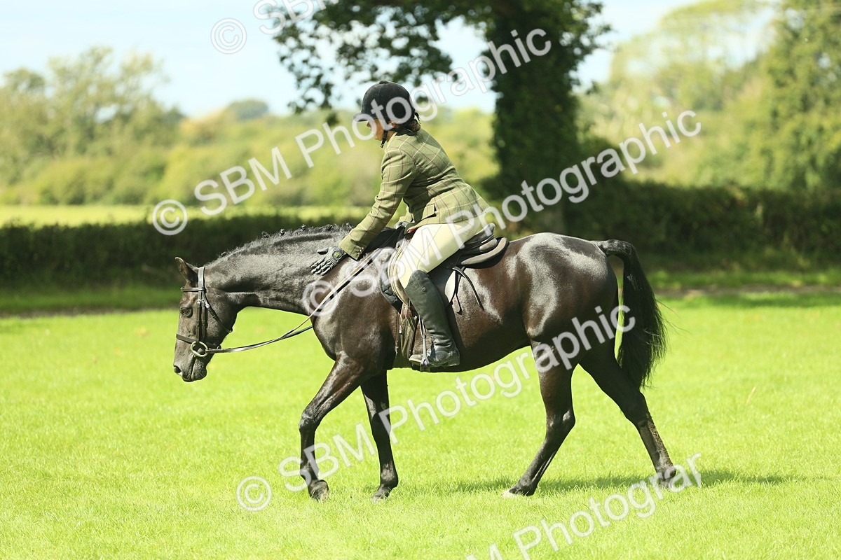 SBM_42085 - S29 - Novice & Newcomers Working Hunter Pony