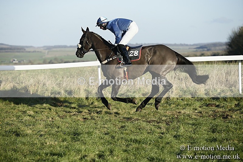 PtP 070118 -483 - Larkhill Racing Club Point to Point Larkhill 07/01/2018