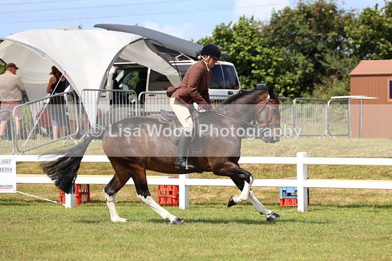 3E7A9978 - Class 5: Rising Star Lightweight/Heavyweight Cobs