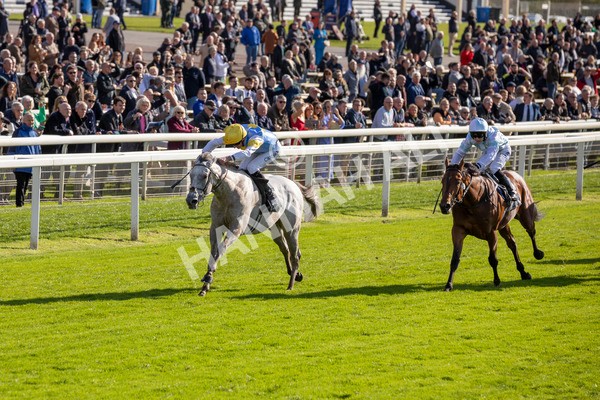 111024-Race 2-Mirabeau-6859 - Race 2 2.05pm British EBF £100,000 Final