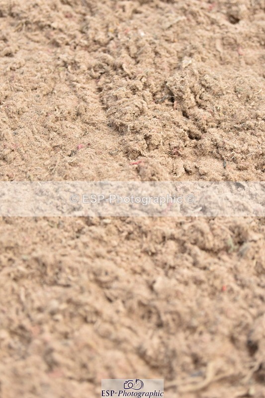 230810A-133200-01169 - Cls 10 6 Year Old Championship