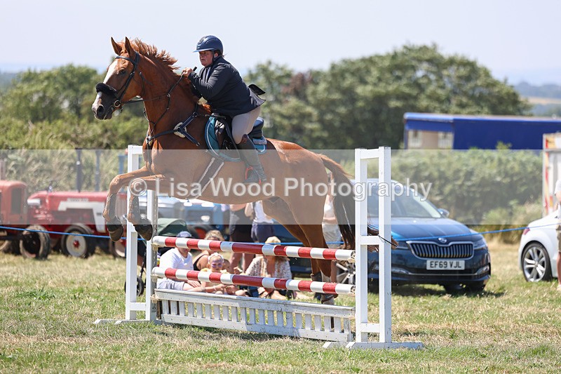 3E7A4432 - Class 10: Senior British Novice/90cm open