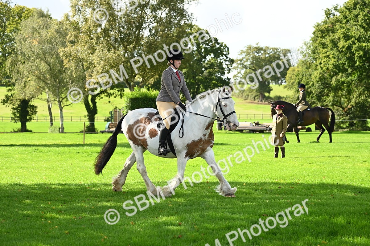 SBM_01503 - S2 - TSR Ridden Horse Showing