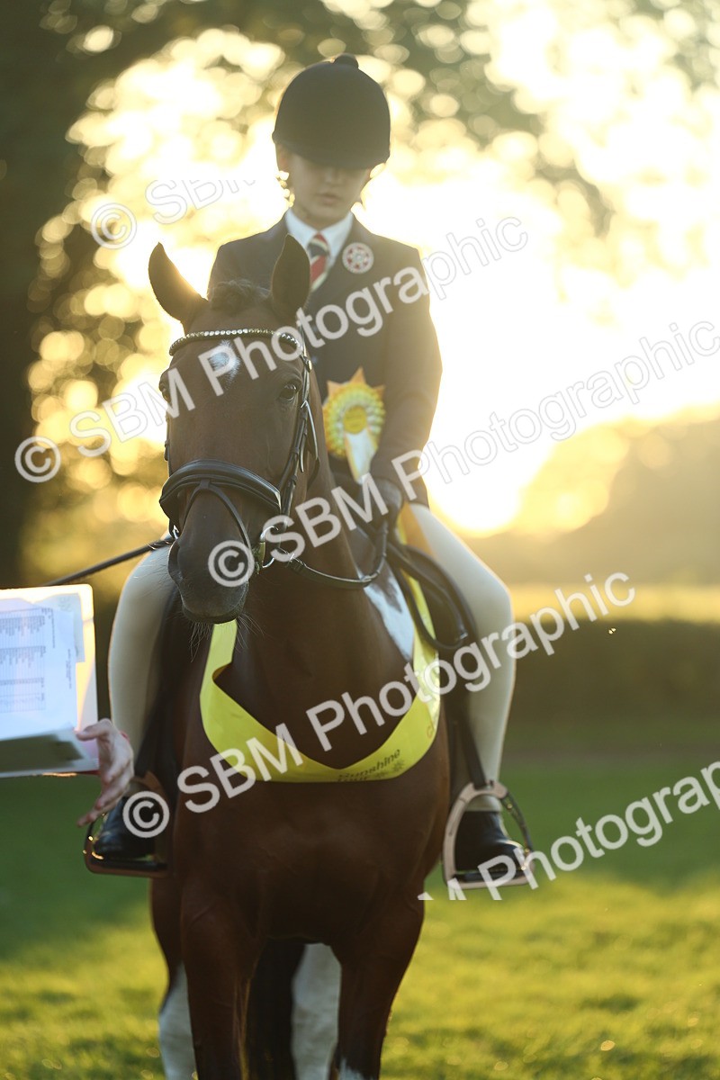 SBM_56663 - Fun & Versatile Supreme Championship