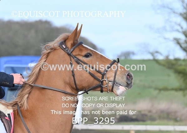 BPP_3295 - CLASS 2  Club/ Unaffiliated 80cms Open