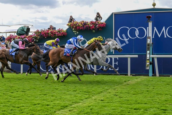 230824-Race 1-Shadow Dance-8728 - Race 1 1.50pm Sky Bet Handicap