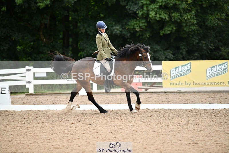 250705-101714-00192 - BRCP1 Sections BRCP1SNR, BRCP1JNR 09-30 to 10-40