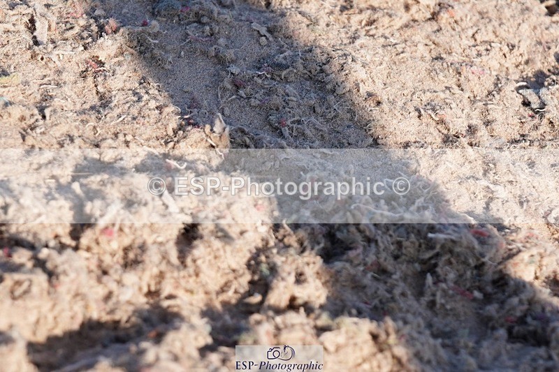 250510-175420-12369 - Cls 18 Chard Eq Derby