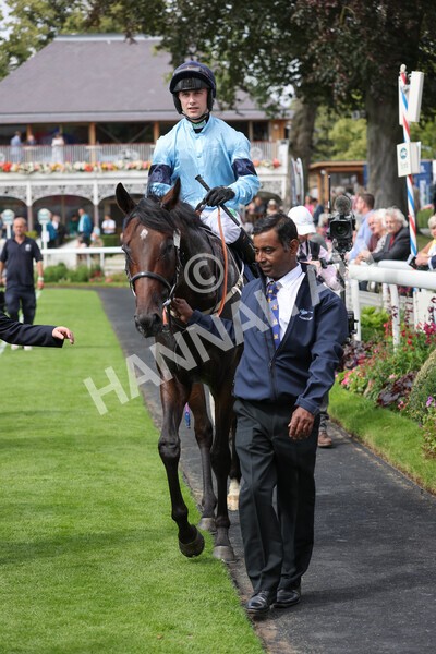 yr18082021r2-38 - Race 2 2.25pm Tattersalls Acomb Stakes