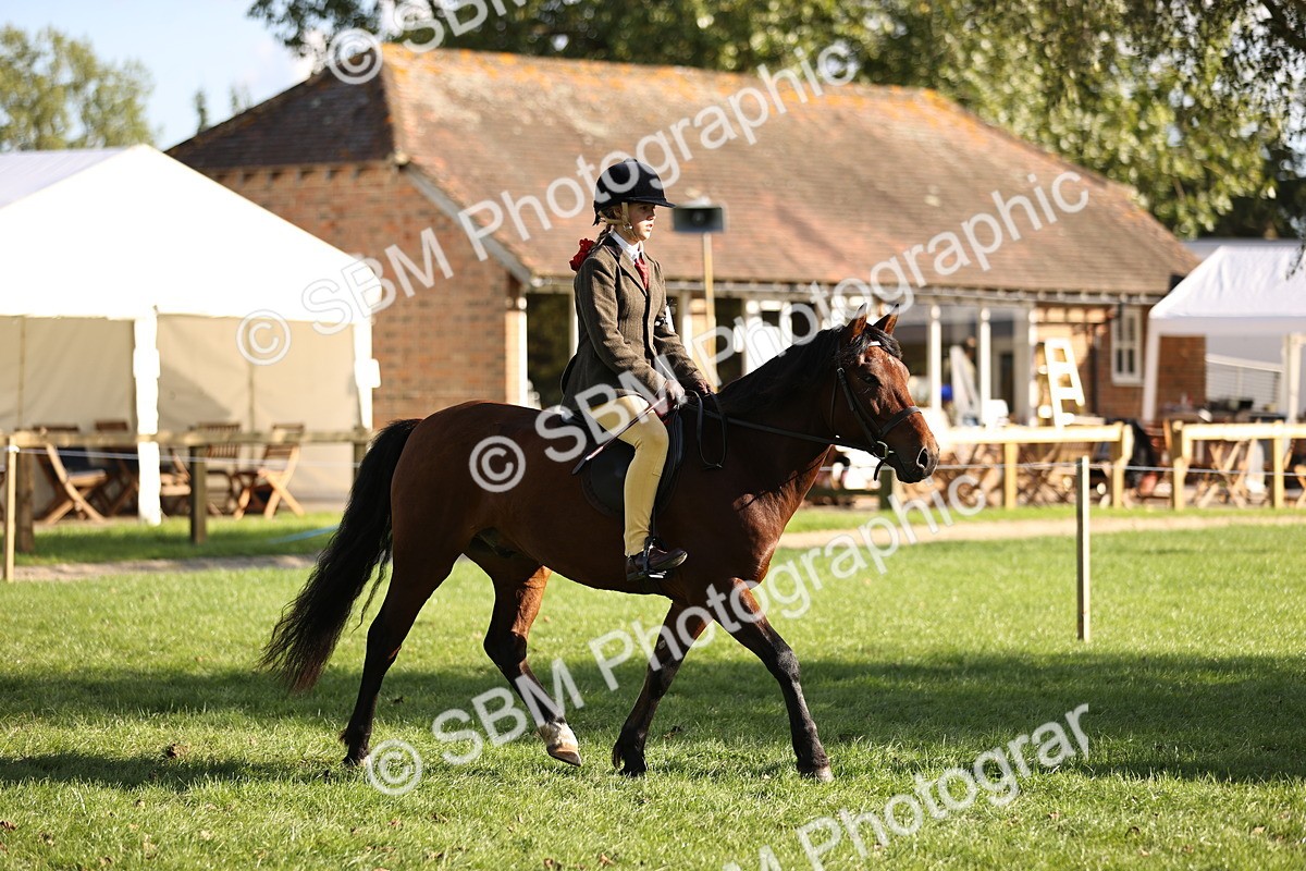 SBM_29331 - S7 - Novice & Newcomers Ridden Pony