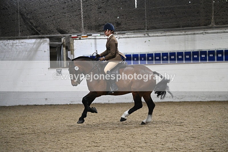 WJ7_4018 - Class 17 Ridden Cob