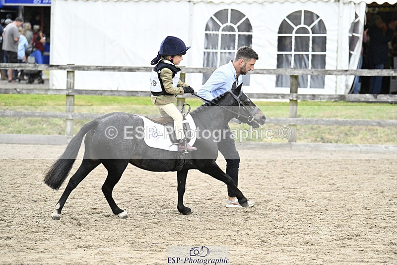 240822X-141023-08847 - 40cm LR R2 13.00 to 15.00