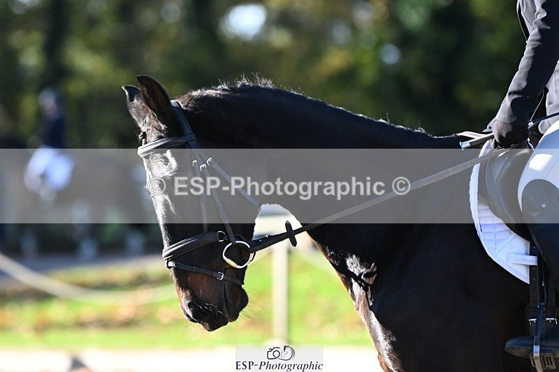 231110-101040-00018 - Cls 2 Prelim 17(a)Q